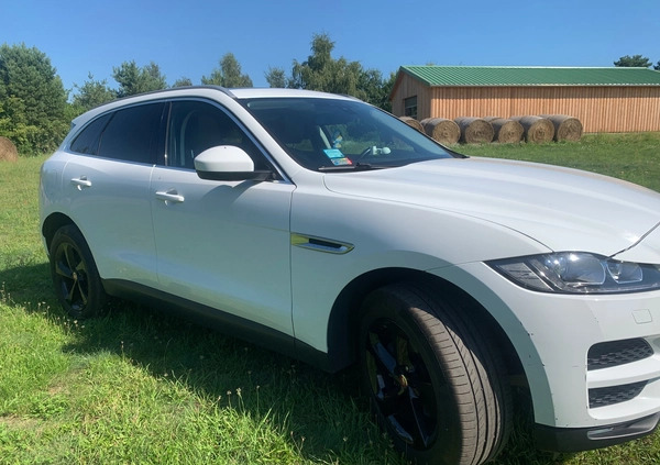 Jaguar F-Pace cena 120000 przebieg: 71000, rok produkcji 2018 z Świnoujście małe 37